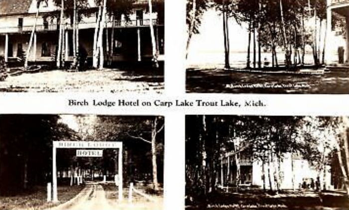 Birch Lodge (Birch Lodge Motel) - Old Postcard